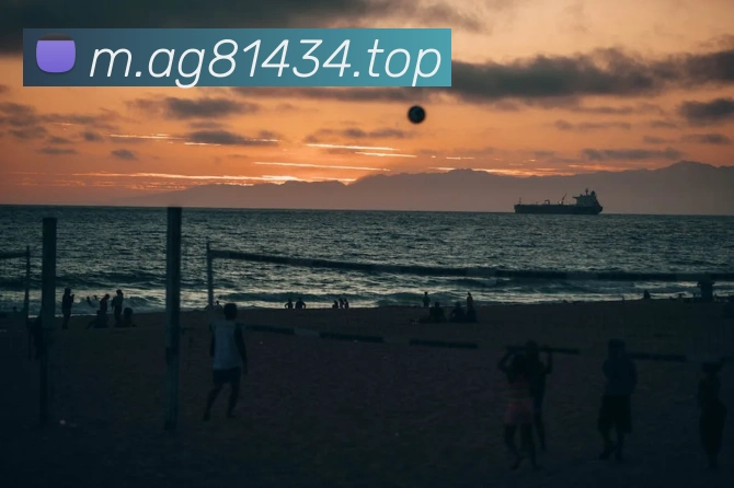 多媒体互动体验